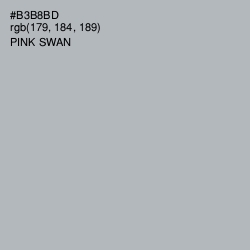 #B3B8BD - Pink Swan Color Image